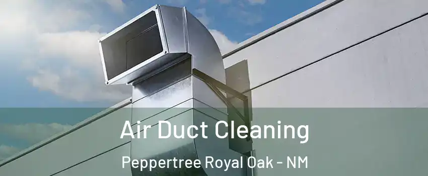 Air Duct Cleaning Peppertree Royal Oak - NM