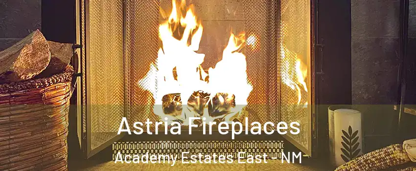 Astria Fireplaces Academy Estates East - NM