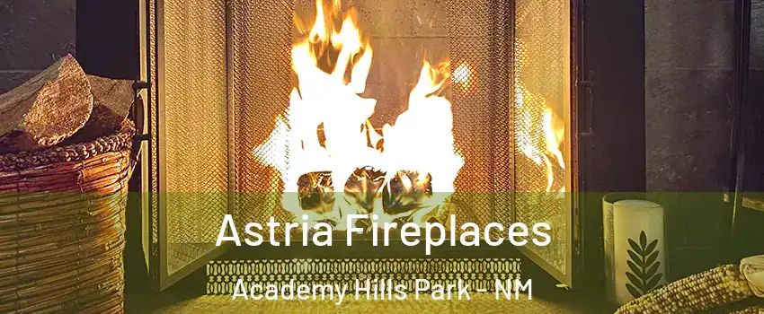 Astria Fireplaces Academy Hills Park - NM
