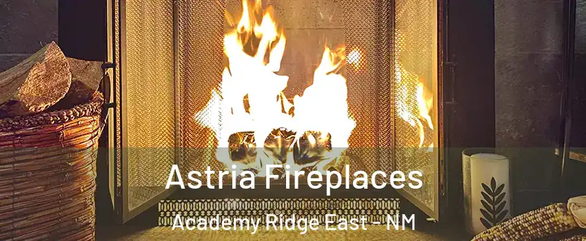 Astria Fireplaces Academy Ridge East - NM
