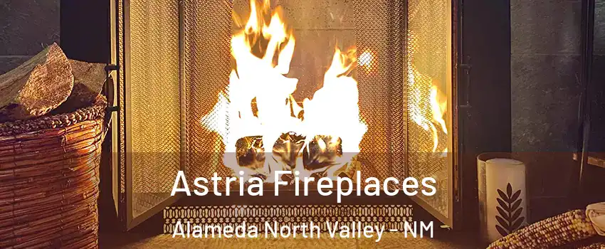 Astria Fireplaces Alameda North Valley - NM