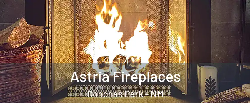 Astria Fireplaces Conchas Park - NM