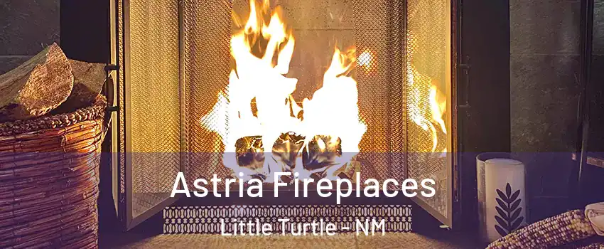 Astria Fireplaces Little Turtle - NM