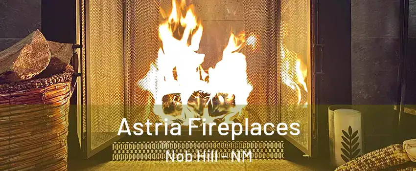 Astria Fireplaces Nob Hill - NM