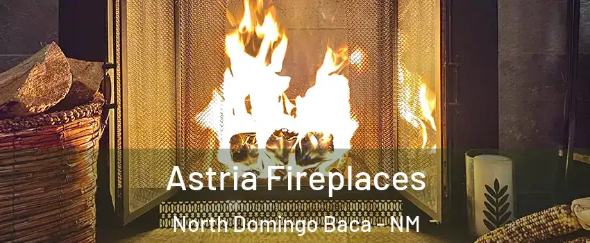Astria Fireplaces North Domingo Baca - NM