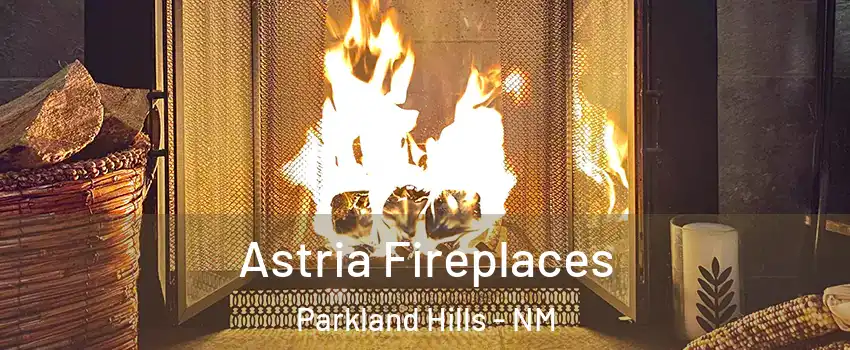 Astria Fireplaces Parkland Hills - NM