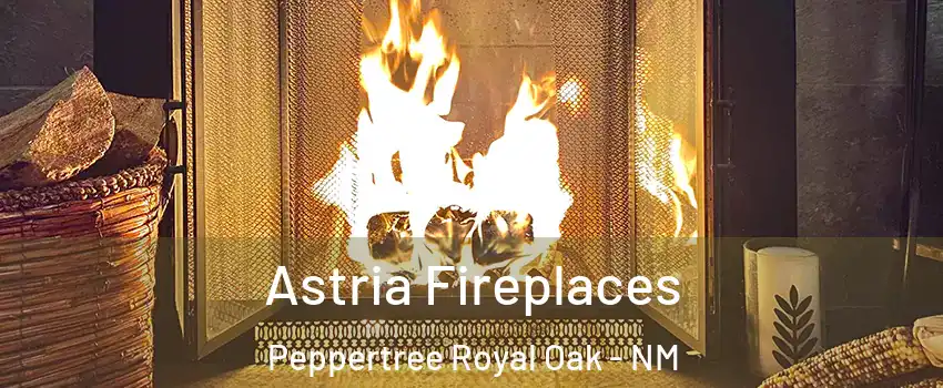 Astria Fireplaces Peppertree Royal Oak - NM