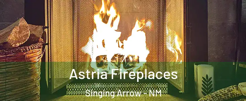Astria Fireplaces Singing Arrow - NM