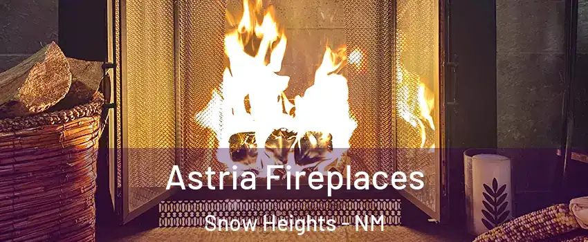 Astria Fireplaces Snow Heights - NM