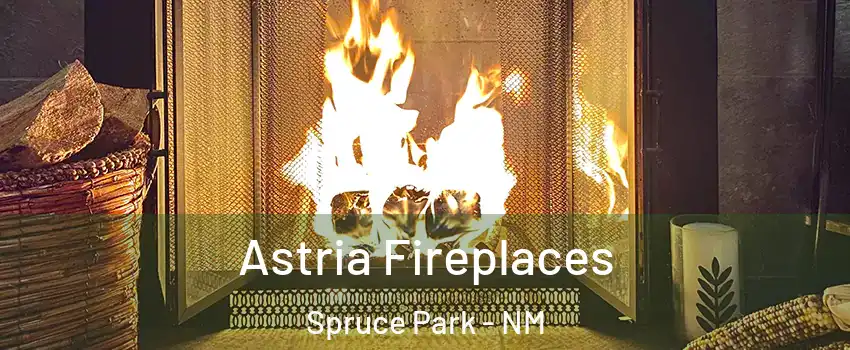 Astria Fireplaces Spruce Park - NM