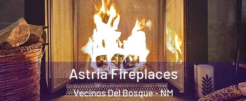 Astria Fireplaces Vecinos Del Bosque - NM
