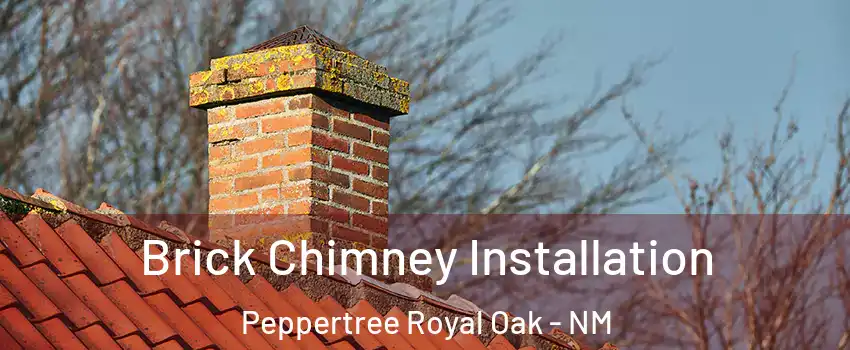 Brick Chimney Installation Peppertree Royal Oak - NM