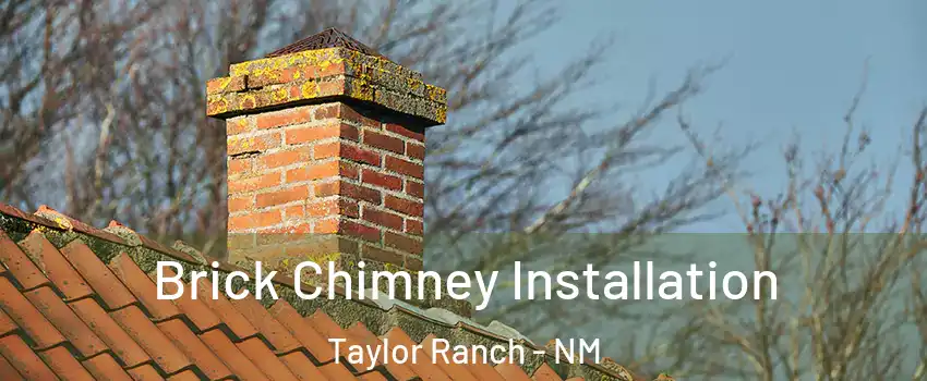 Brick Chimney Installation Taylor Ranch - NM
