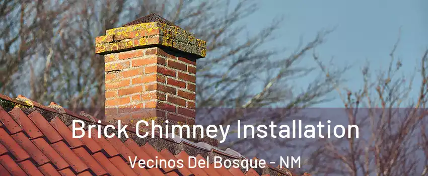 Brick Chimney Installation Vecinos Del Bosque - NM