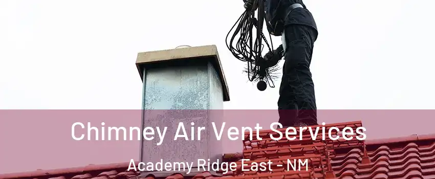 Chimney Air Vent Services Academy Ridge East - NM