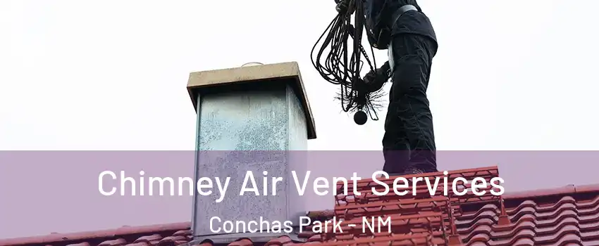 Chimney Air Vent Services Conchas Park - NM