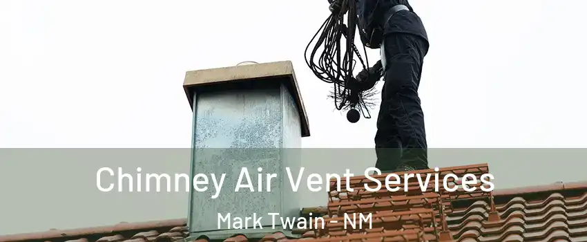 Chimney Air Vent Services Mark Twain - NM