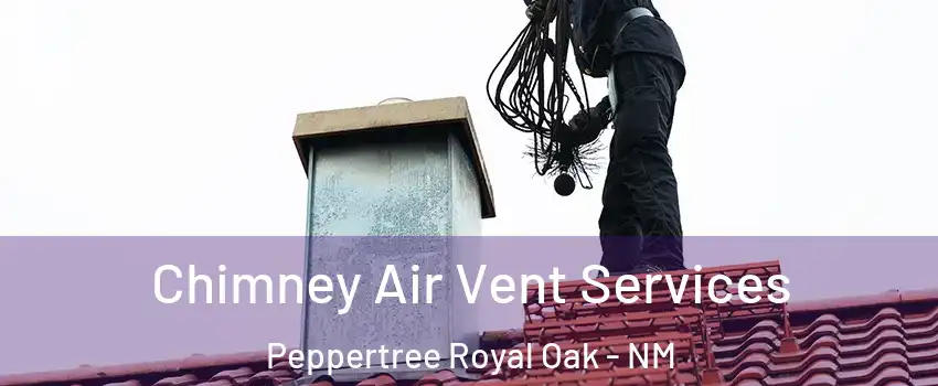 Chimney Air Vent Services Peppertree Royal Oak - NM