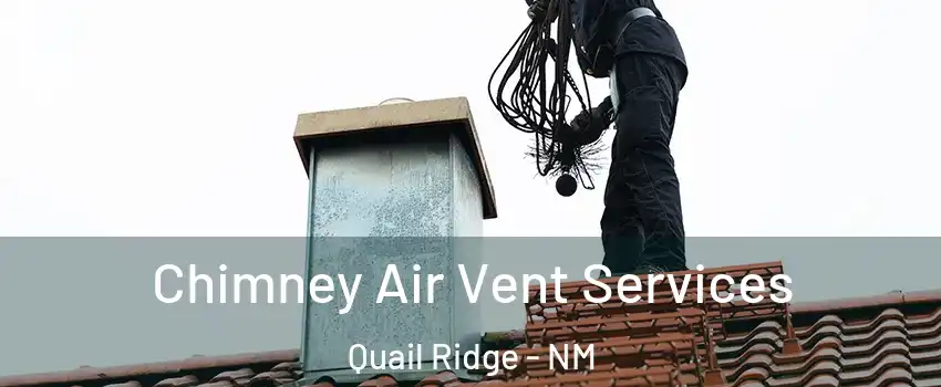 Chimney Air Vent Services Quail Ridge - NM