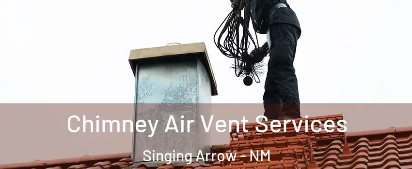 Chimney Air Vent Services Singing Arrow - NM