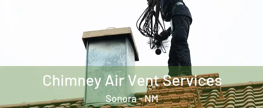 Chimney Air Vent Services Sonora - NM