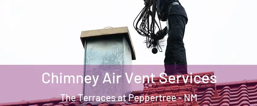 Chimney Air Vent Services The Terraces at Peppertree - NM