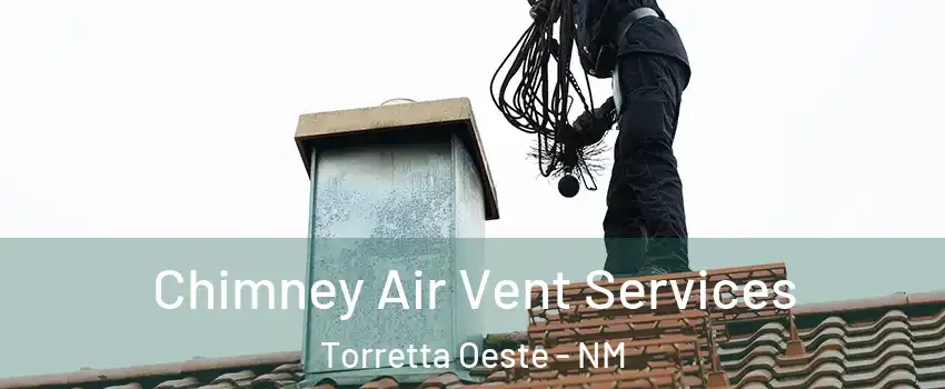 Chimney Air Vent Services Torretta Oeste - NM