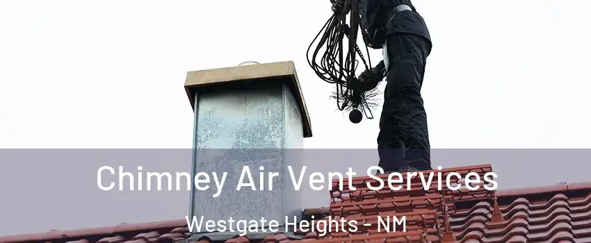 Chimney Air Vent Services Westgate Heights - NM