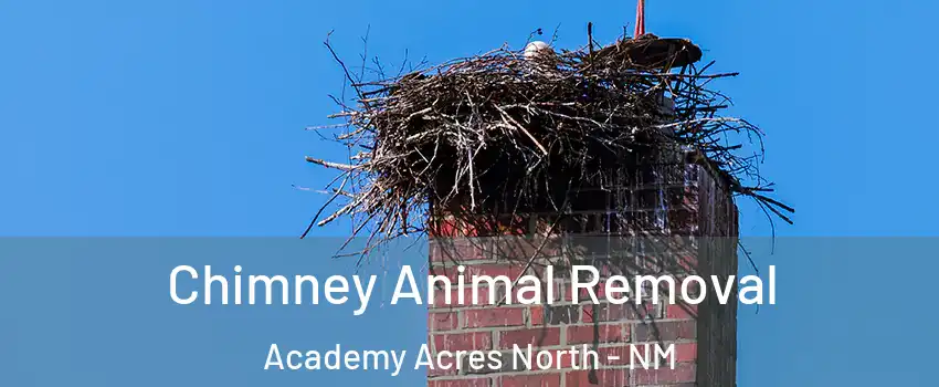 Chimney Animal Removal Academy Acres North - NM