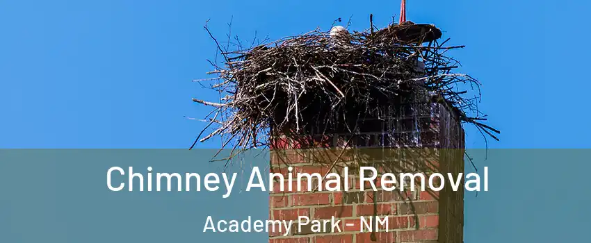 Chimney Animal Removal Academy Park - NM