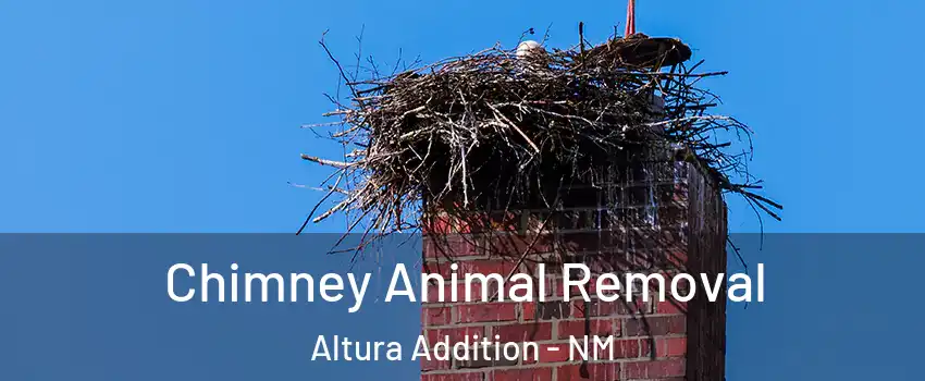 Chimney Animal Removal Altura Addition - NM