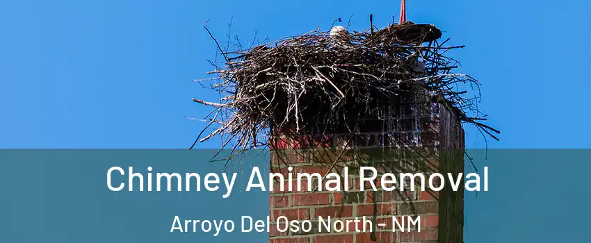 Chimney Animal Removal Arroyo Del Oso North - NM