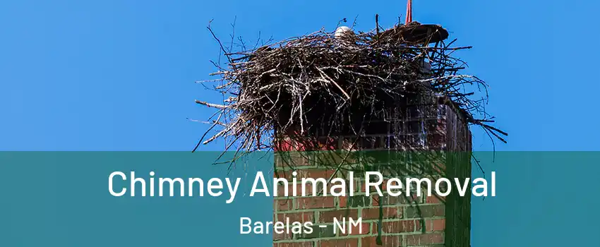 Chimney Animal Removal Barelas - NM