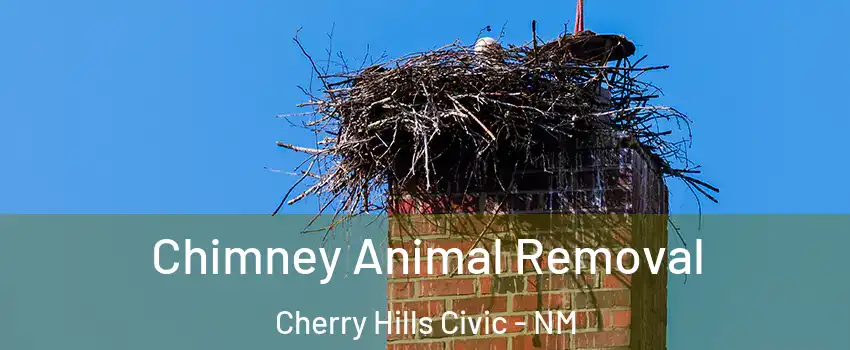 Chimney Animal Removal Cherry Hills Civic - NM