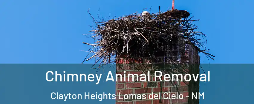 Chimney Animal Removal Clayton Heights Lomas del Cielo - NM