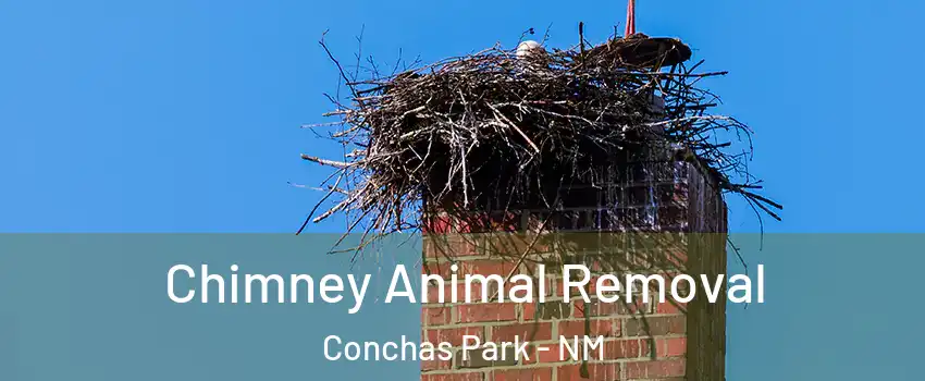 Chimney Animal Removal Conchas Park - NM