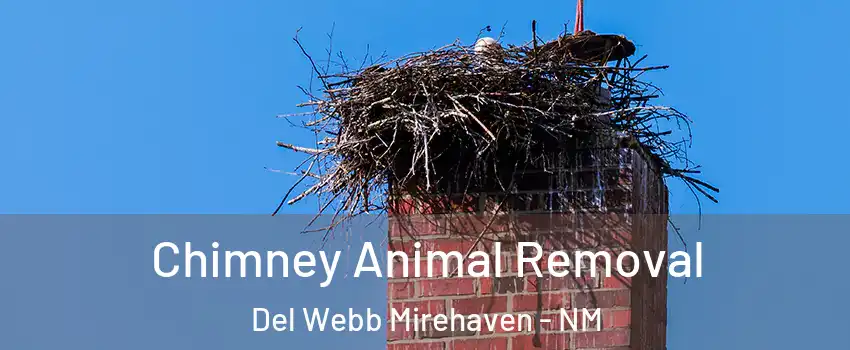 Chimney Animal Removal Del Webb Mirehaven - NM