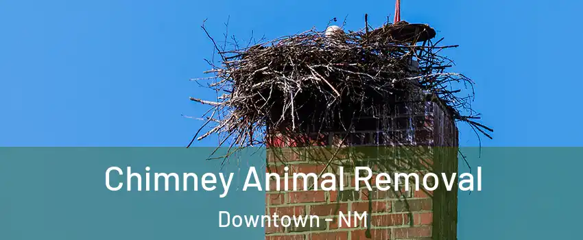 Chimney Animal Removal Downtown - NM