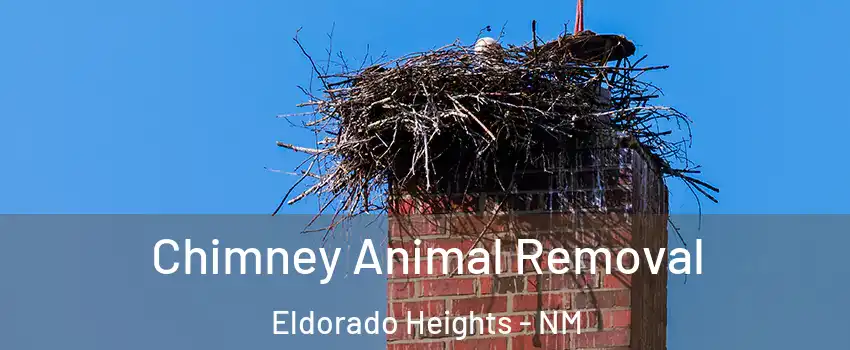 Chimney Animal Removal Eldorado Heights - NM