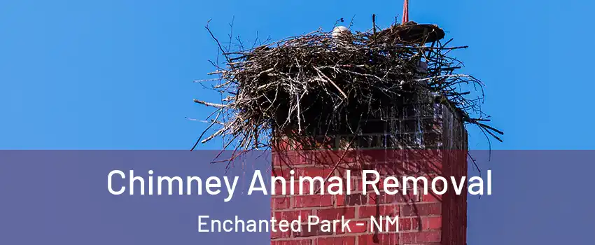 Chimney Animal Removal Enchanted Park - NM