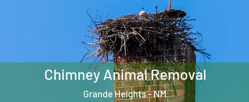 Chimney Animal Removal Grande Heights - NM