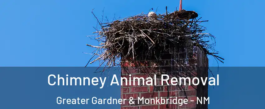 Chimney Animal Removal Greater Gardner & Monkbridge - NM