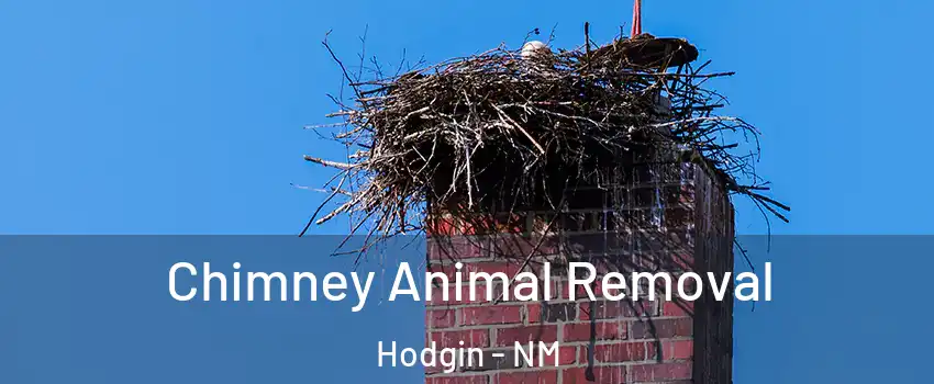 Chimney Animal Removal Hodgin - NM