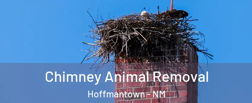 Chimney Animal Removal Hoffmantown - NM