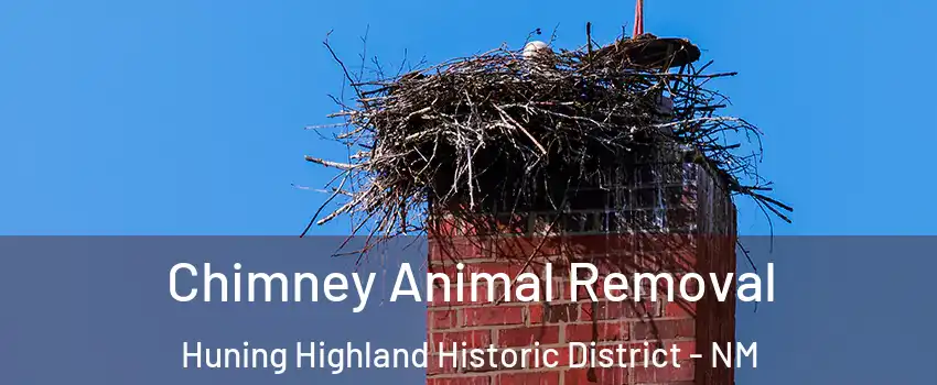 Chimney Animal Removal Huning Highland Historic District - NM