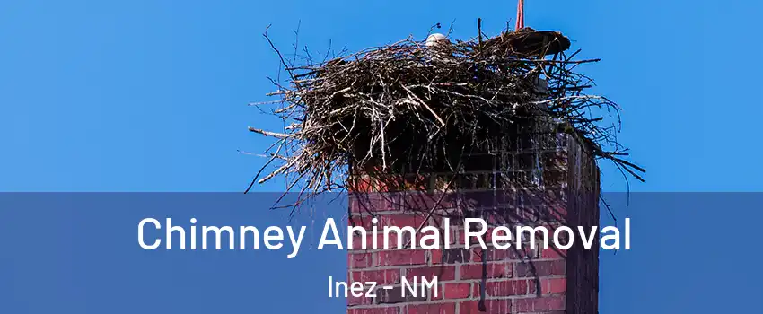 Chimney Animal Removal Inez - NM