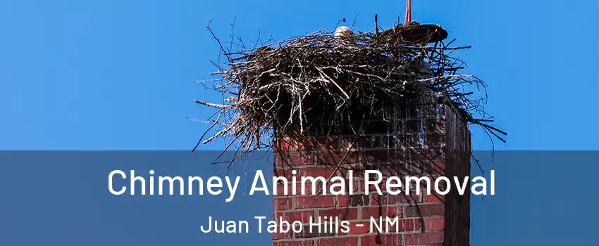 Chimney Animal Removal Juan Tabo Hills - NM