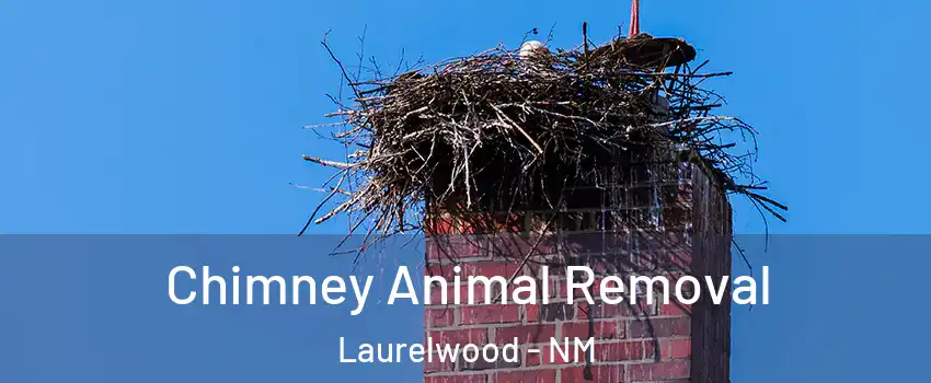 Chimney Animal Removal Laurelwood - NM