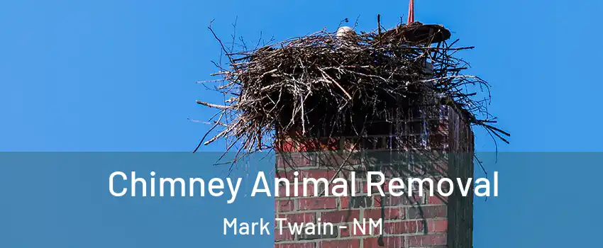 Chimney Animal Removal Mark Twain - NM