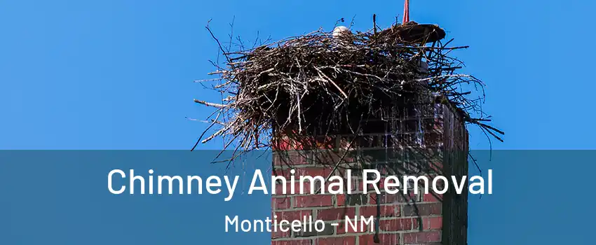 Chimney Animal Removal Monticello - NM